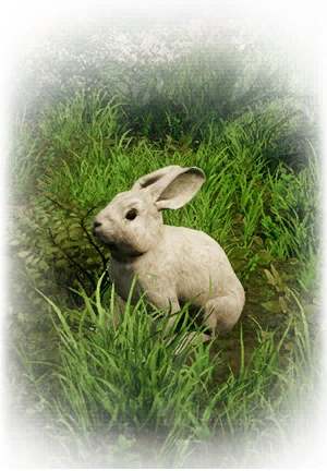 Icono del item "Conejo"
